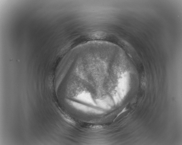 X0000066950409200604142054