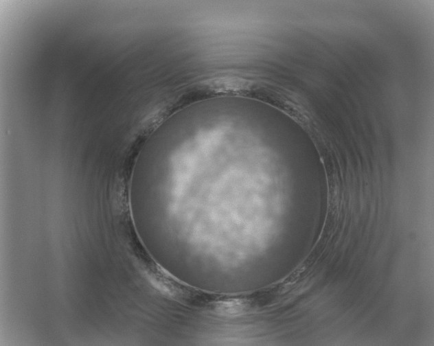 X0000066950411200604142054