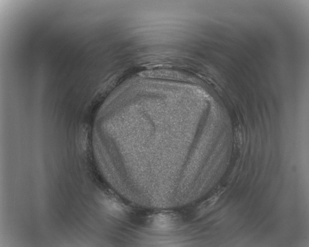 X0000066950412200604142054