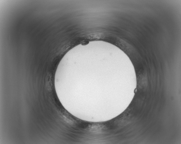 X0000066950414200604142054