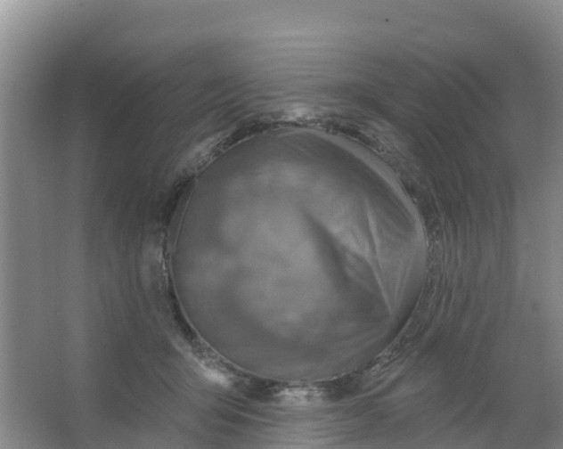 X0000066950415200604142054