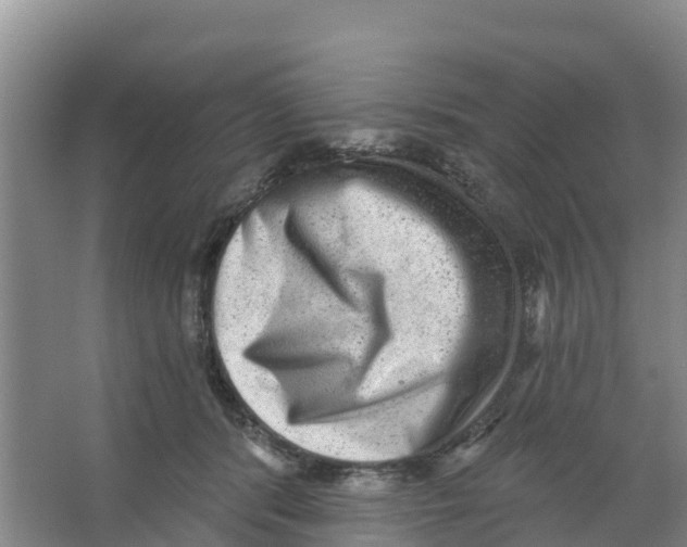 X0000066950416200604142054