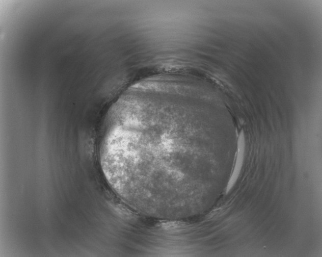 X0000066950417200604142054