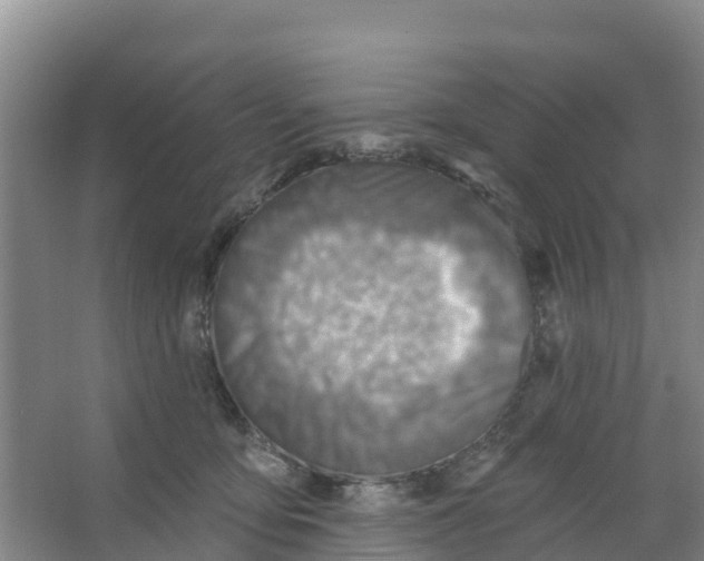 X0000066950419200604142054