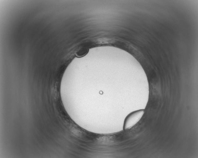 X0000066950422200604142054