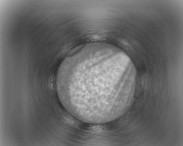 X0000066950423200604142054