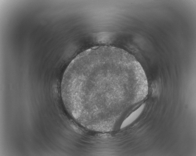 X0000066950424200604142054