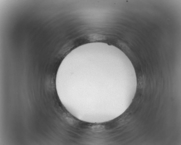 X0000066950426200604142054