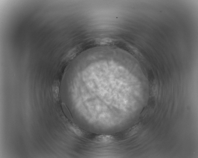 X0000066950427200604142054