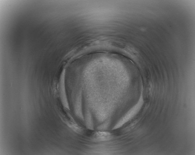 X0000066950429200604142054