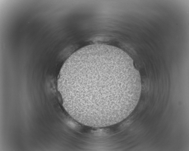 X0000066950430200604142054