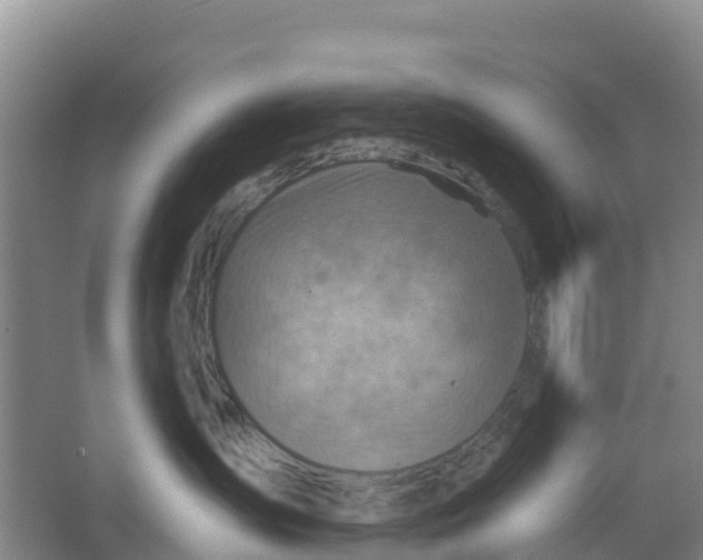 X0000066950431200604142054