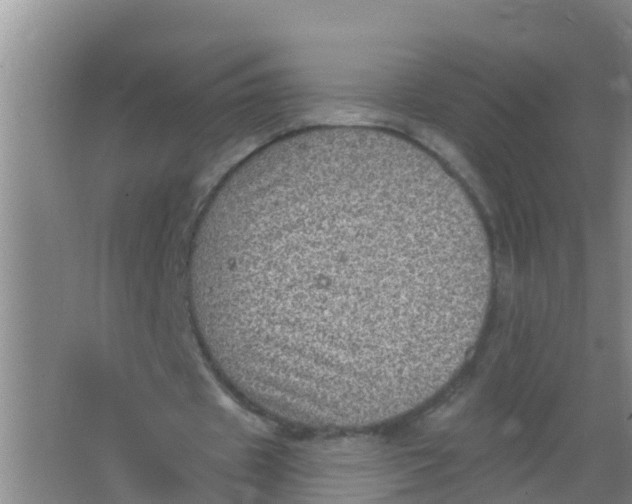 X0000066950433200604142053