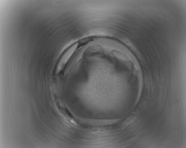 X0000066950434200604142053