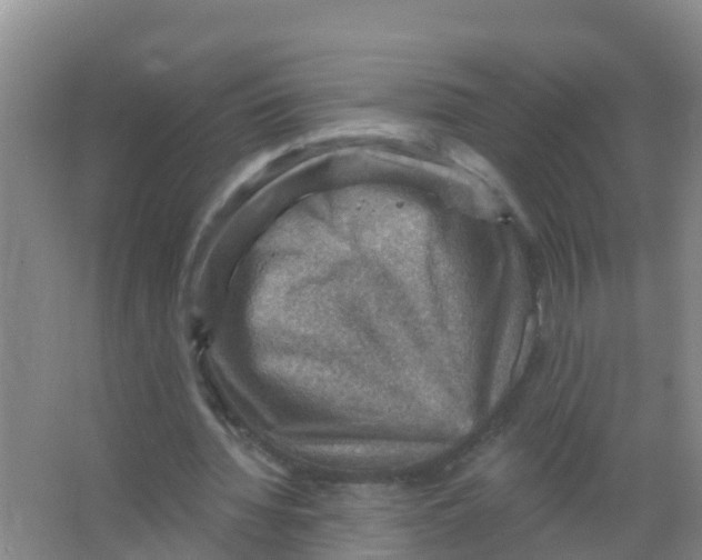 X0000066950436200604142053