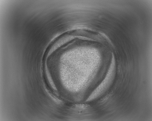 X0000066950439200604142053