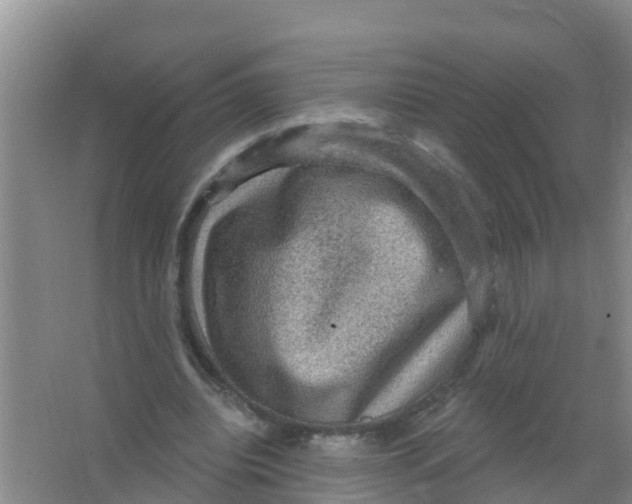 X0000066950440200604142053