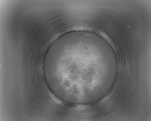 X0000066950441200604142053