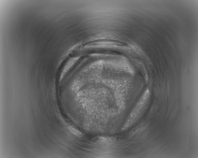 X0000066950442200604142053