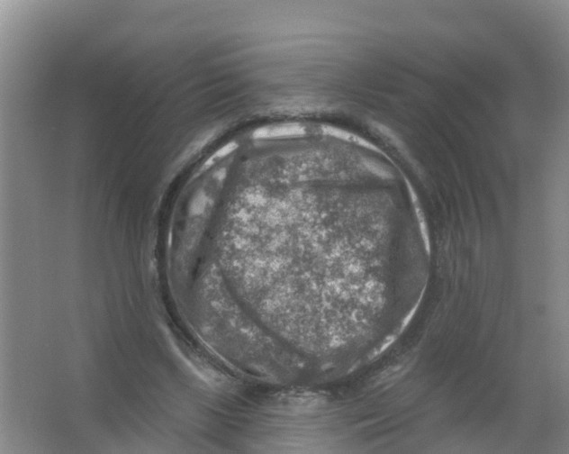 X0000066950443200604142053