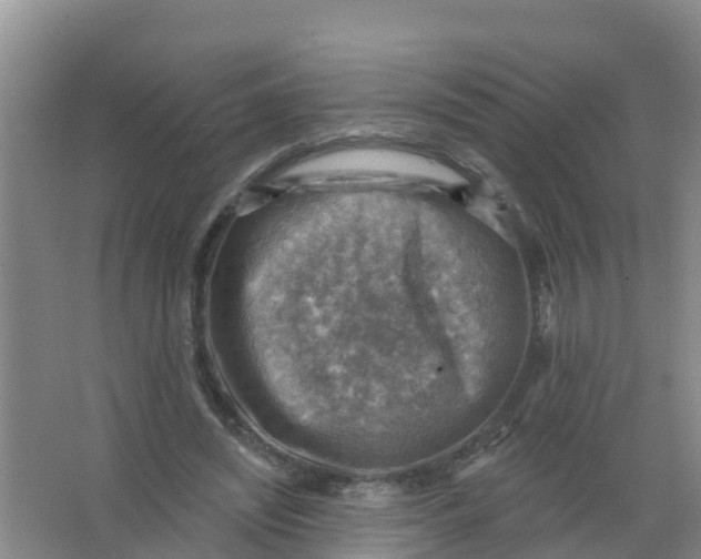 X0000066950444200604142053