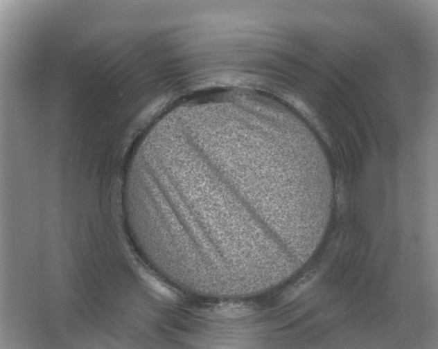 X0000066950445200604142053