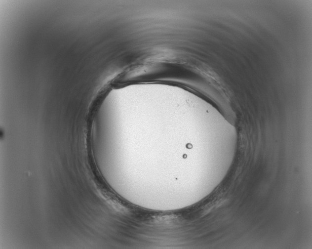 X0000066950446200604142053