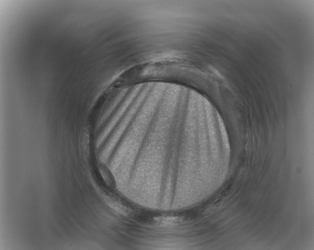 X0000066950448200604142053