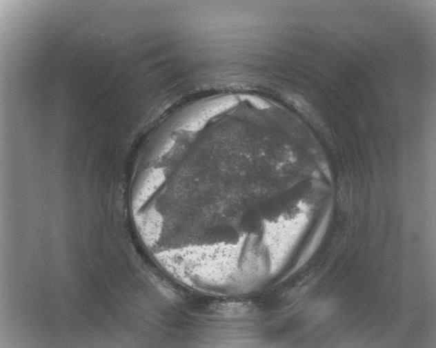 X0000066950449200604142053