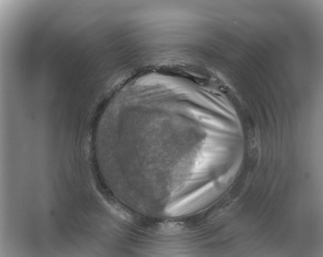 X0000066950451200604142053