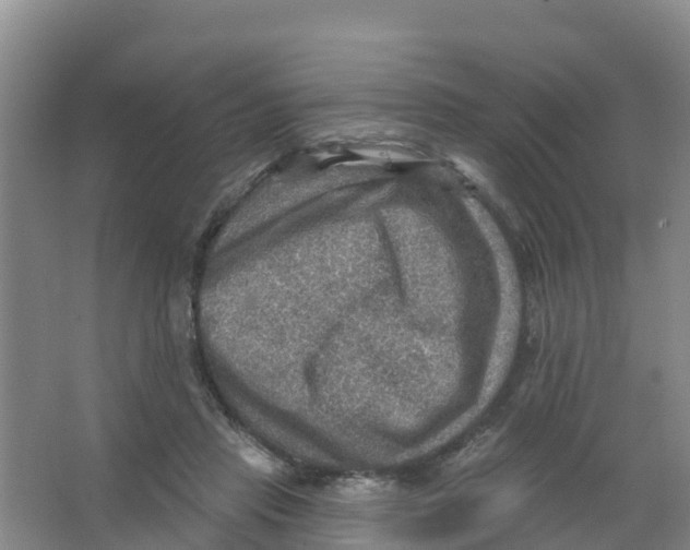 X0000066950453200604142054