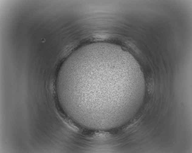 X0000066950455200604142054