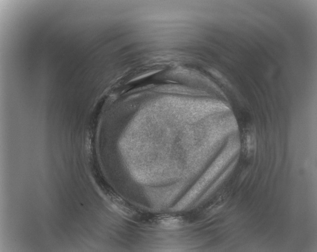 X0000066950456200604142054