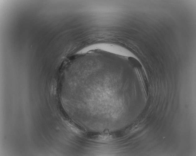 X0000066950458200604142054