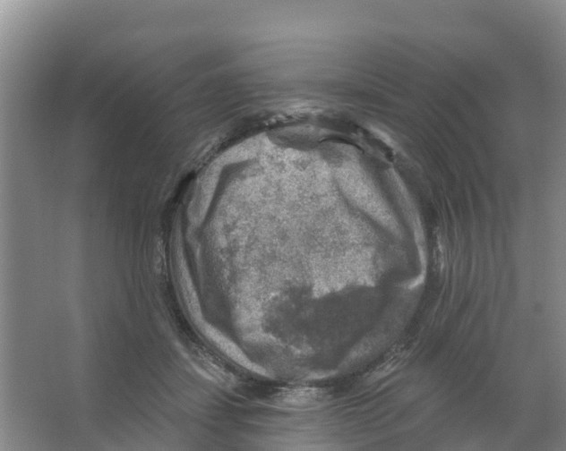 X0000066950459200604142054