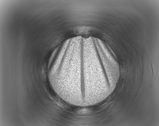 X0000066950460200604142054