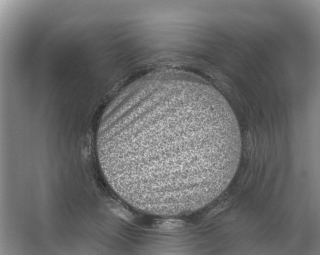 X0000066950463200604142054