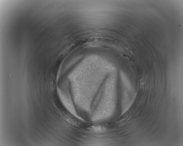 X0000066950464200604142054