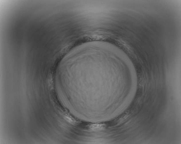 X0000066950465200604142054