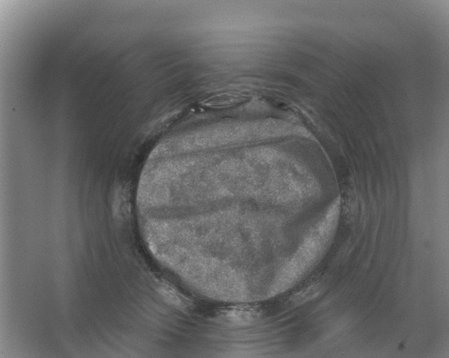 X0000066950466200604142054