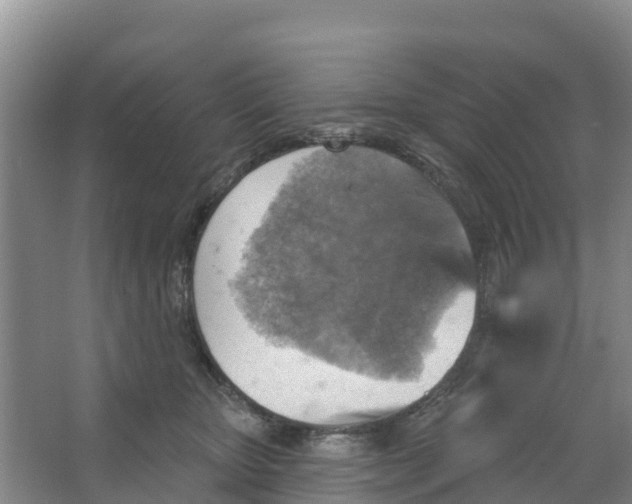 X0000066950467200604142054