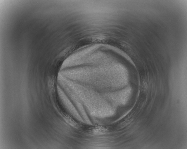 X0000066950468200604142054