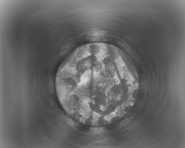 X0000066950469200604142054