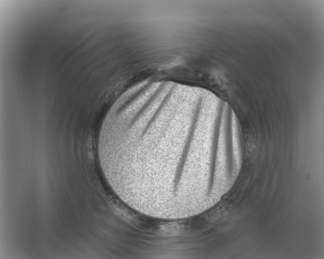 X0000066950470200604142054