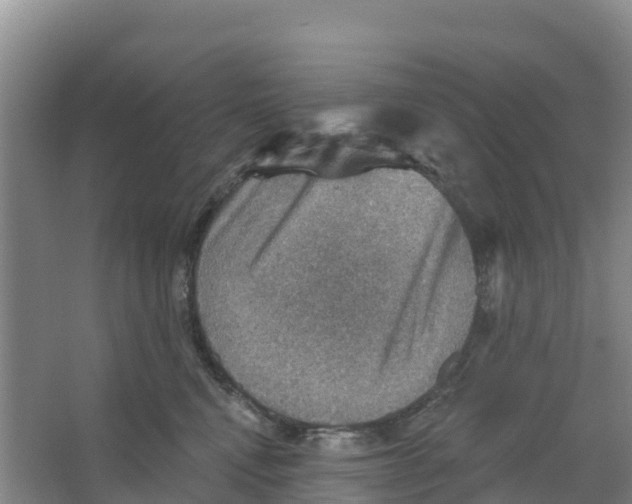 X0000066950472200604142054