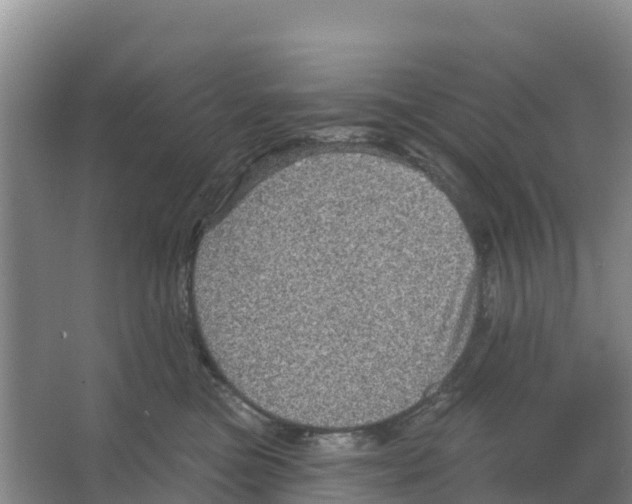 X0000066950473200604142054