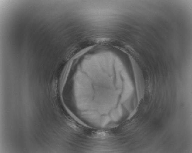 X0000066950475200604142054