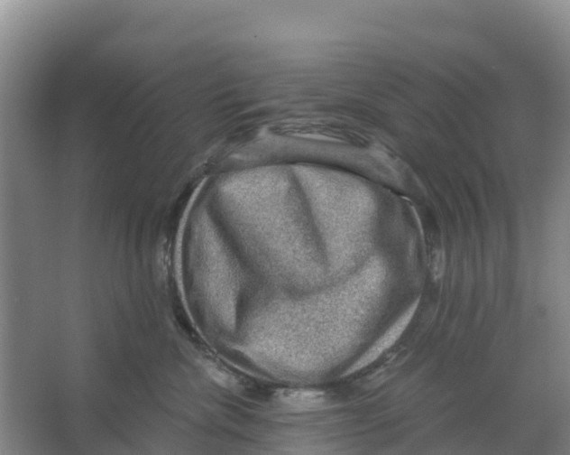 X0000066950476200604142054