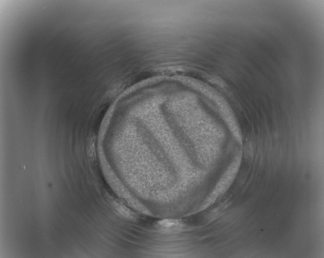 X0000066950477200604142054