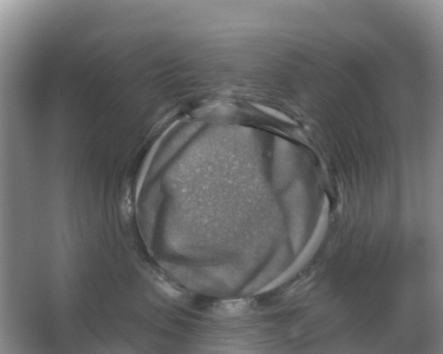 X0000066950479200604142054